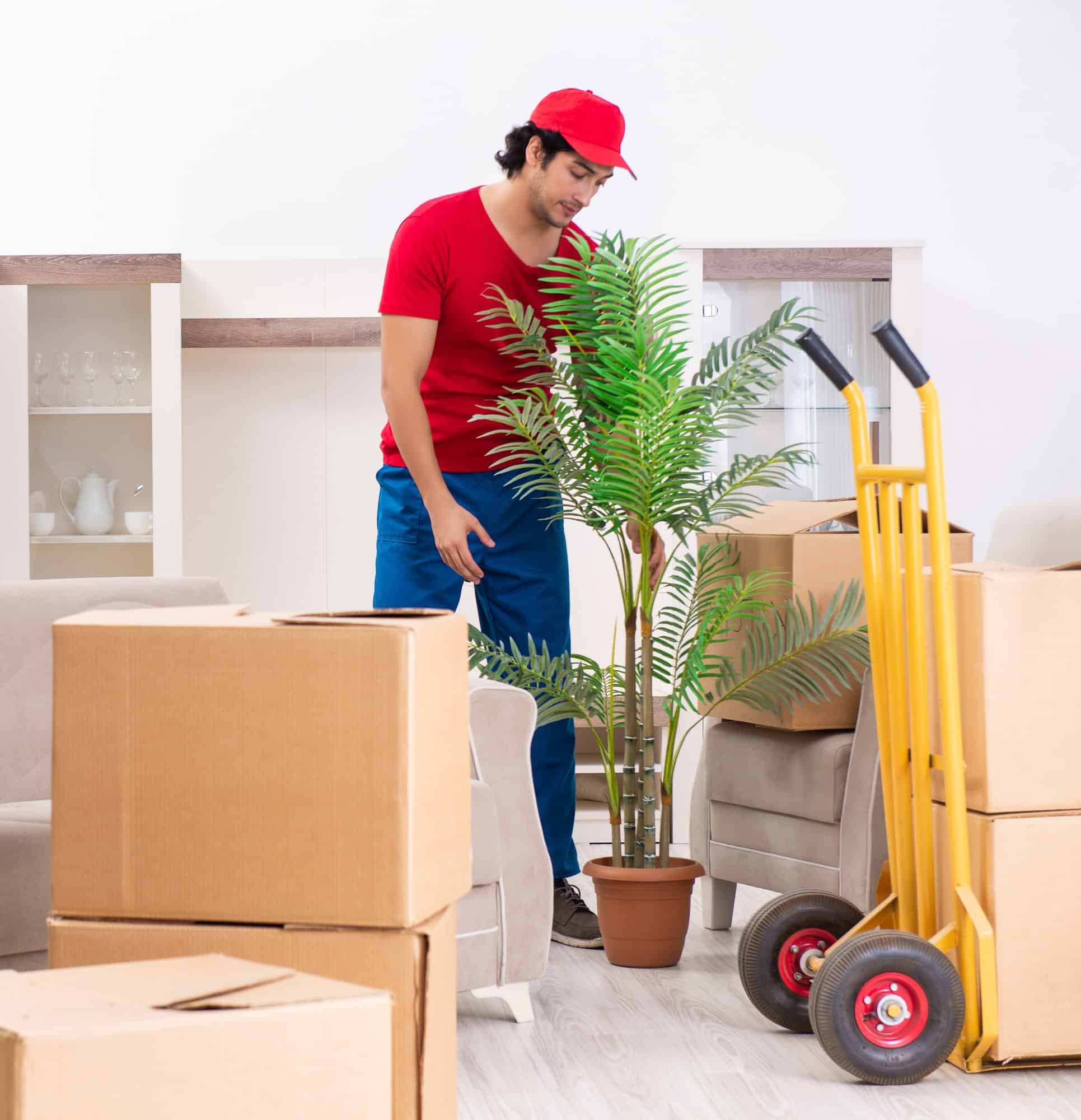 Elite Movers team member carrying moving boxes indoors